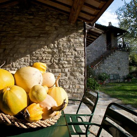 Brigolante Guest Apartments Assisi Kamer foto